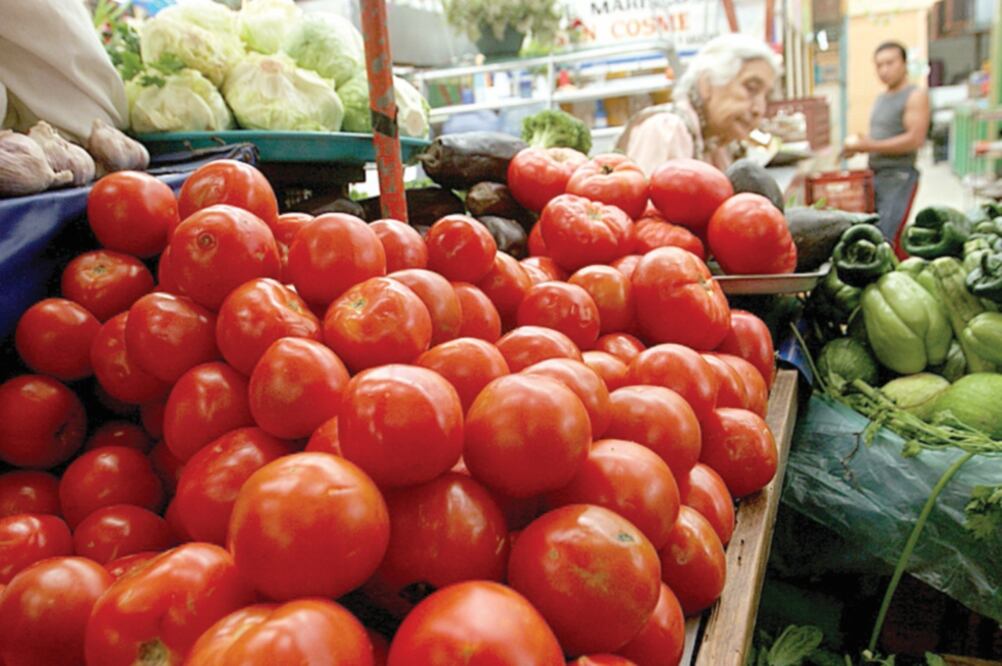 Productores de Florida presionan para finalizar el convenio que opera desde 1996 para fijar precios mínimos de exportación de jitomate, acusa la Amhpac. ARCHIVO EL UNIVERSAL