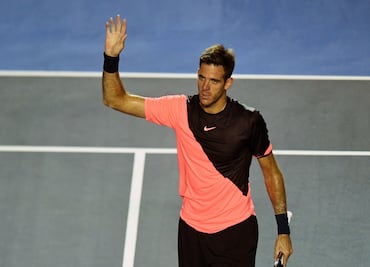 Juan Martín del Potro se corona en el Abierto Mexicano de Tenis