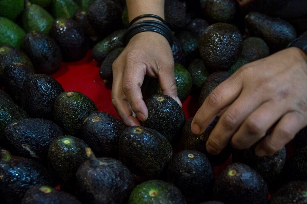 Precio del aguacate se dispara a niveles récord en EU
