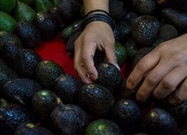 Precio del aguacate se dispara a niveles récord en EU