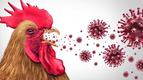 Detectan primer caso de gripe aviar en un niño en EU; investigan posible fuente de contagio