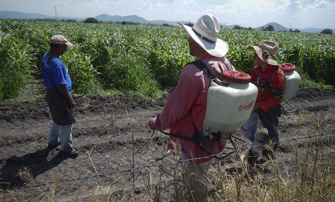 Foto: Archivo/EL UNIVERSAL