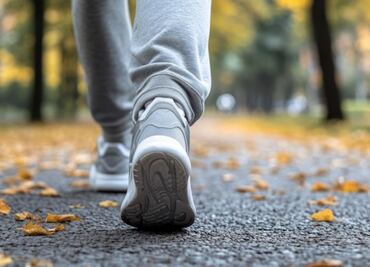 La planta milenaria que aumenta la resistencia y energía