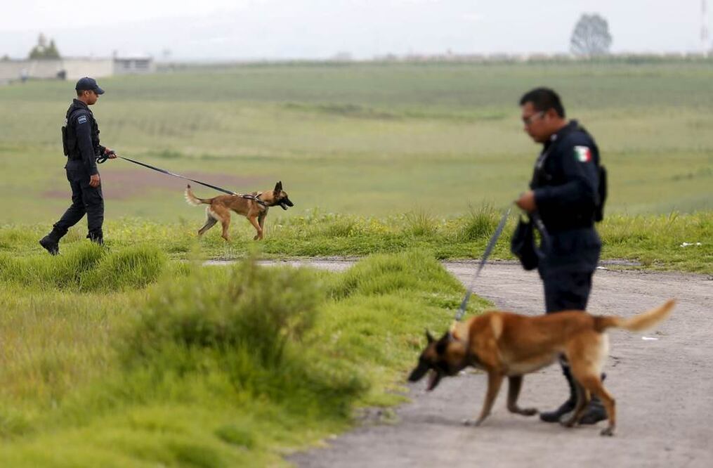 Foto: REUTERS/Edgard Garrido