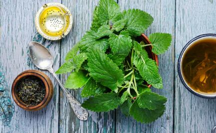 La planta que ayuda a desinflamar el hígado; previene el daño hepático