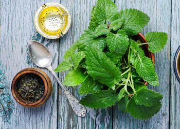 La planta que ayuda a desinflamar el hígado; previene el daño hepático