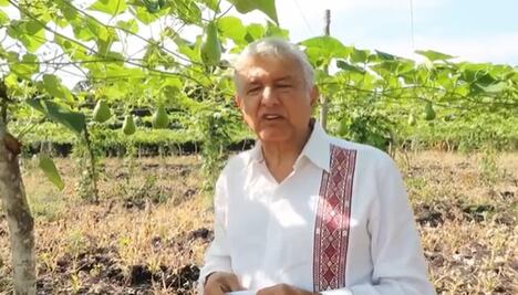 AMLO buscará eliminar partida para ex presidentes