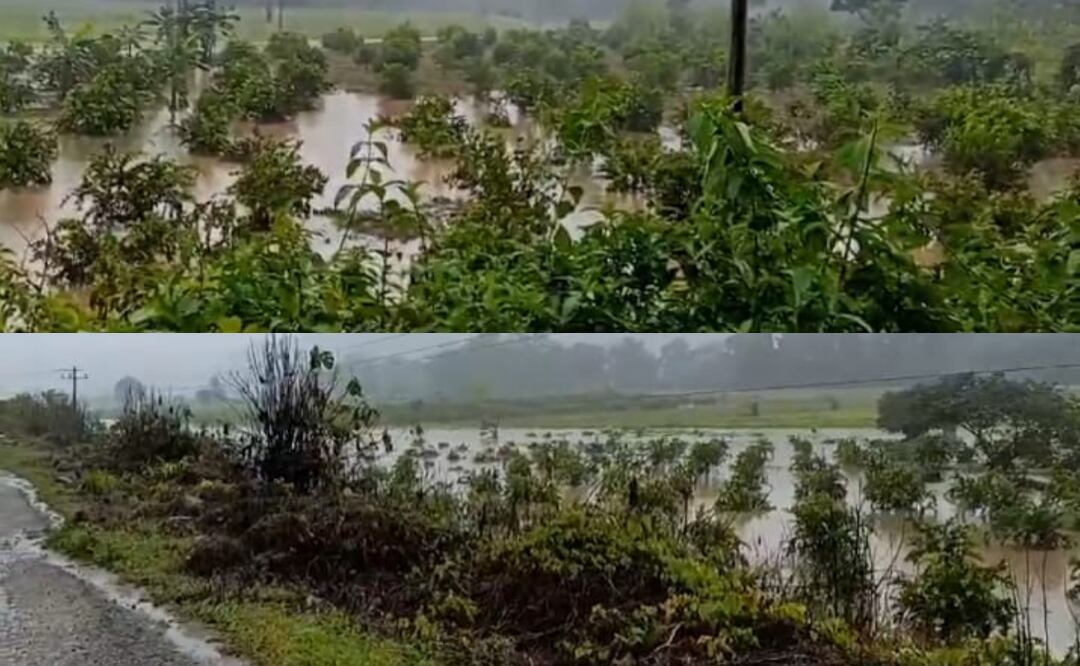 Desbordamiento del río Uxpanapa tras fuertes lluvias en Oaxaca (20/02/2025). Foto: Especial