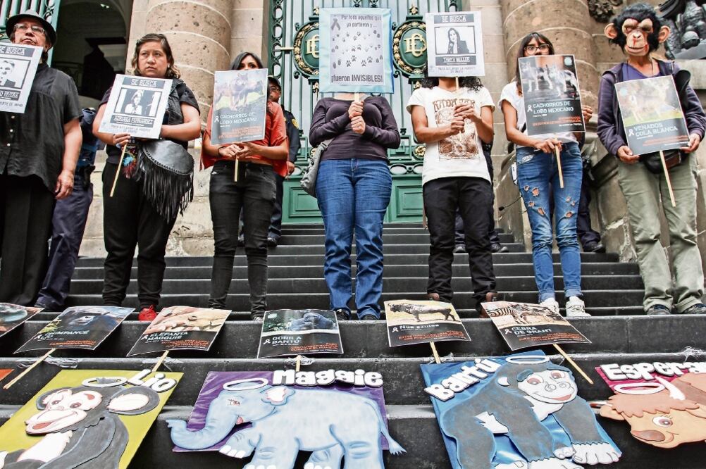 Activistas lanzaron consignas, afuera de la Asamblea, en contra del maltrato animal en los zoológicos de la capital del país (MARÍA JOSÉ MARTÍNEZ. CUARTOSCURO)