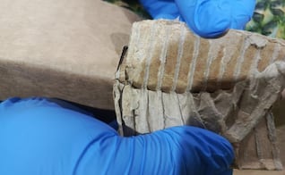 Ecuador decomisa dos toneladas de droga en cargamento de piña; iba rumbo a Países Bajos