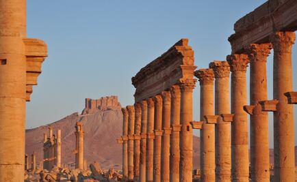 Sin ayuda internacional, "olvidaremos que hubo una ciudad llamada Palmira"