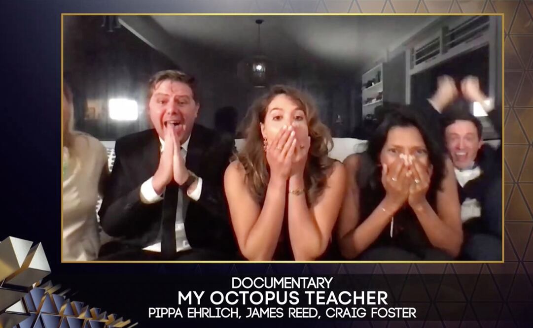 "My Octopus Teacher". Foto: EFE