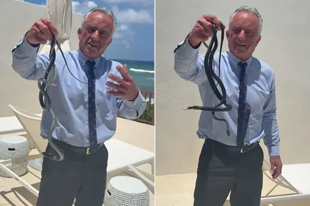 Robert Kennedy Jr., con dos serpientes corredoras negras que atrapó. FOTO: CAPTURA DE VIDEO
