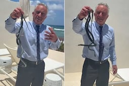 VIDEO: Kennedy Jr., secretario de Salud de EU, se muestra atrapando dos serpientes; "¡Cariño, déjalas ir!"