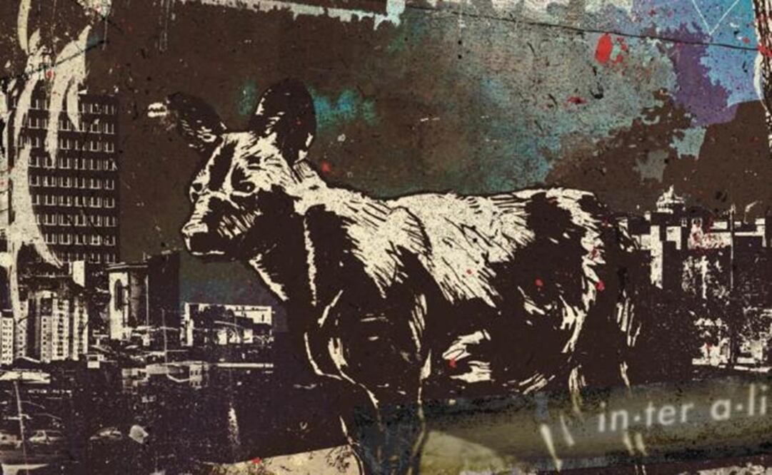 Photo taken from Twitter