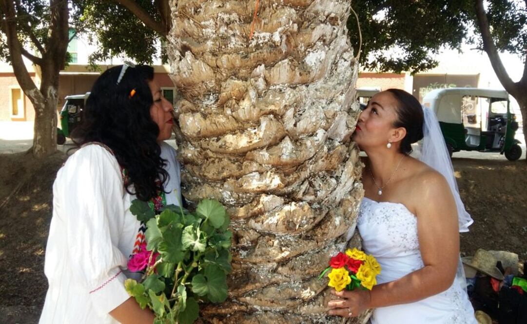 Foto: Juan Carlos Zavala / EL UNIVERSAL