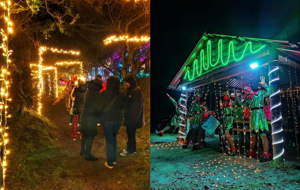 Fotos: Bosque Iluminado