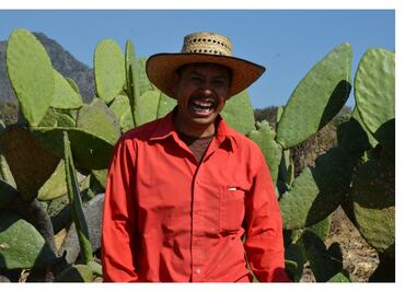 El guardián de los nopales