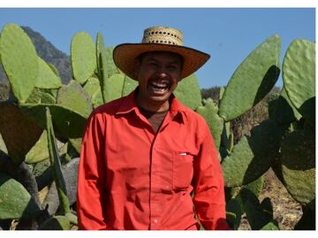 El guardián de los nopales