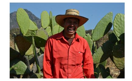 El guardián de los nopales