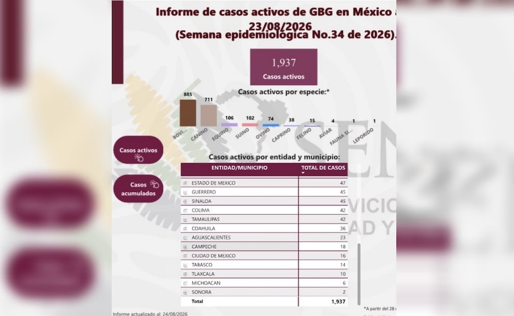 Sonora confirma segundo caso de gusano barrenador en reapertura de exportación ganadera hacia EU; refuerzan cerco sanitario.
Foto: Especial.