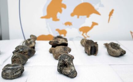 Fósil de una bestia: Científicos, tras secretos del perezoso gigante prehistórico 