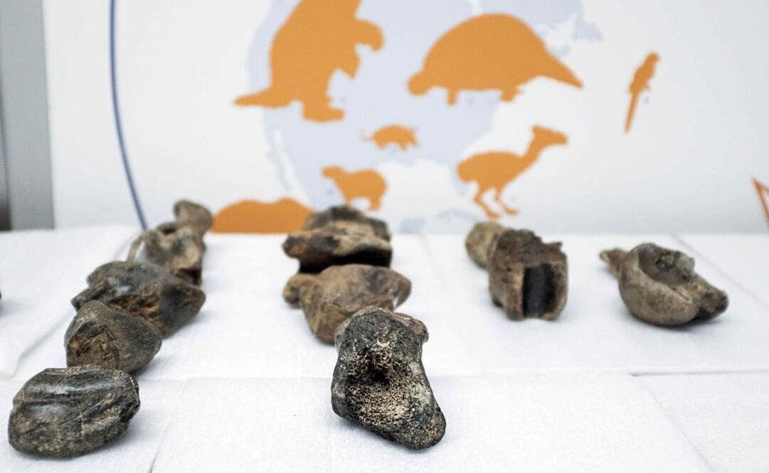 Foto: EFE/Jeffrey Arguedas