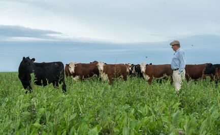 El cambio climático provocará la propagación de nuevas enfermedades infecciosas de animales a humanos: estudio 