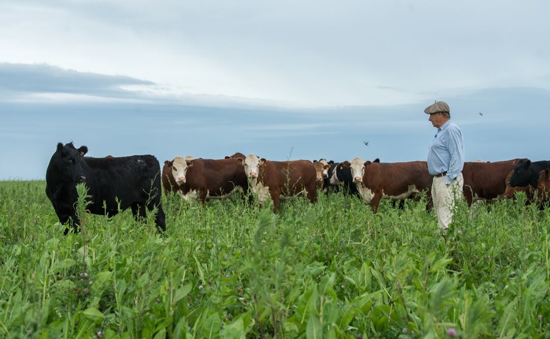 Imagen ilustrativa. Foto: EFE/ Inac