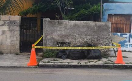 Nuevo acto de crueldad animal en Mérida, Yucatán: envenenan a nueve perritos