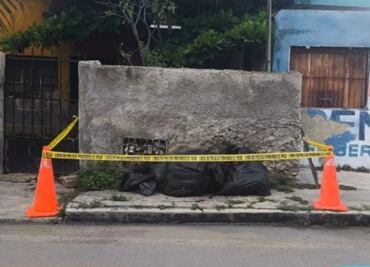 Nuevo acto de crueldad animal en Mérida, Yucatán: envenenan a nueve perritos