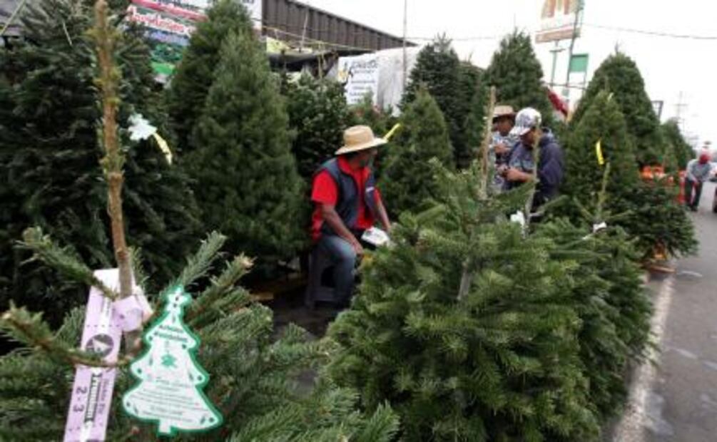 ​¿Comprarás árbol de Navidad? Adquiere #HechoEnMéxico