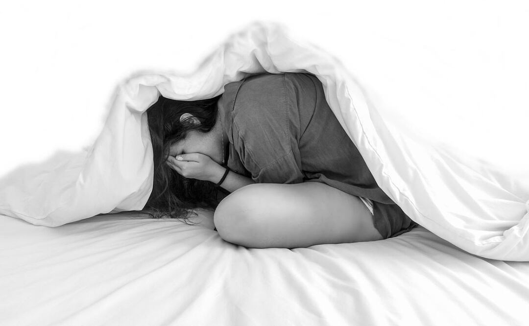 Claveles para la ansiedad. Fuente: Pixabay