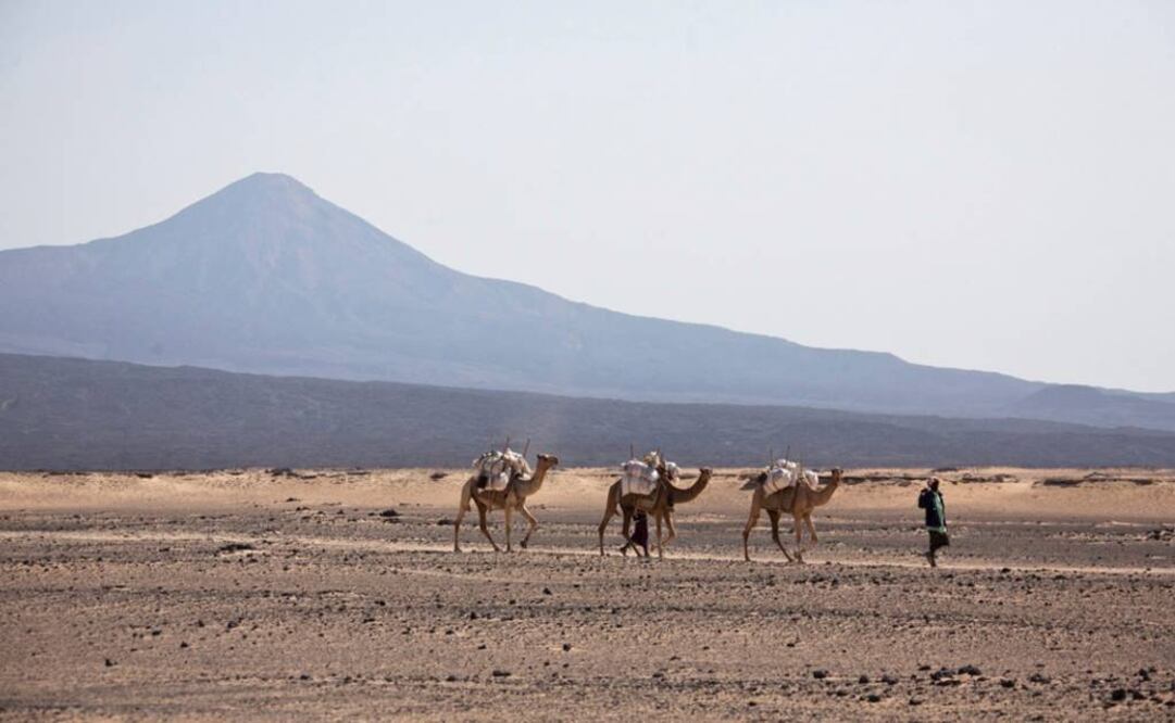 Las temperaturas durante el mes de julio fueron "especialmente extremas" en todos los países del hemisferio norte. Foto: Archivo