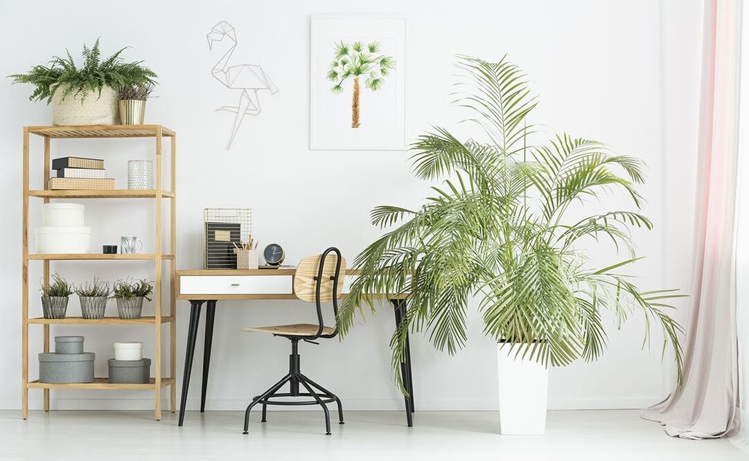 No puedes cambiar toda la decoración de tu casa, pero sí puedes refrescarla con los accesorios correctos. Foto: Istockphoto