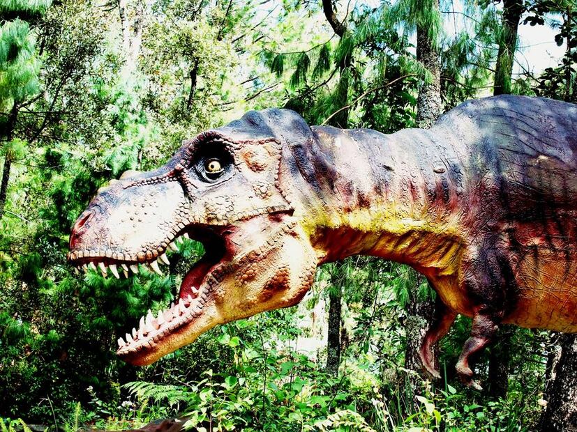 Bioparque Estrella cuenta con espectáculos y espacios para el aprendizaje ambiental. Foto: Bioparque Estrella