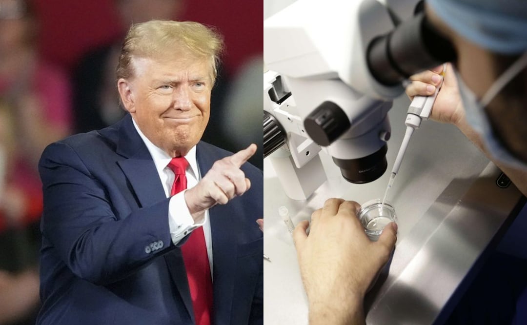 Fotos: Archivo/ EL UNIVERSAL