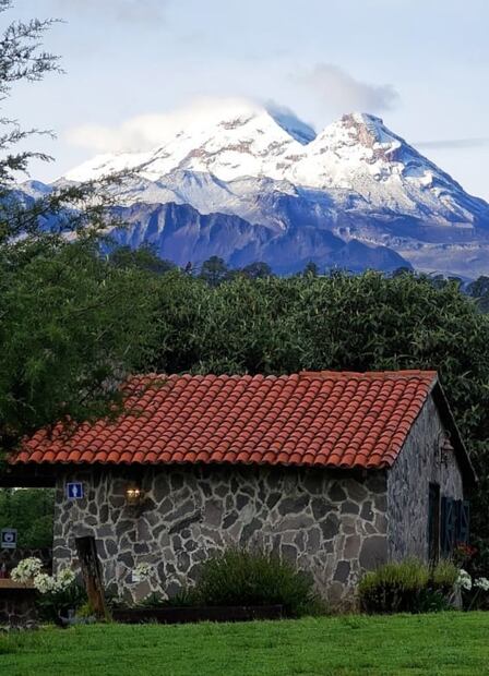 Alpinia, el parque donde se encuentra el laberinto más grande de México 