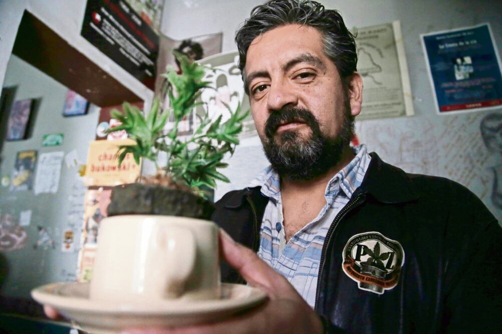 Leopoldo Rivera, director de la Ameca, señala que el decreto que permite el uso medicinal de la marihuana no cambiará la situación de los enfermos. (ARCHIVO EL UNIVERSAL)