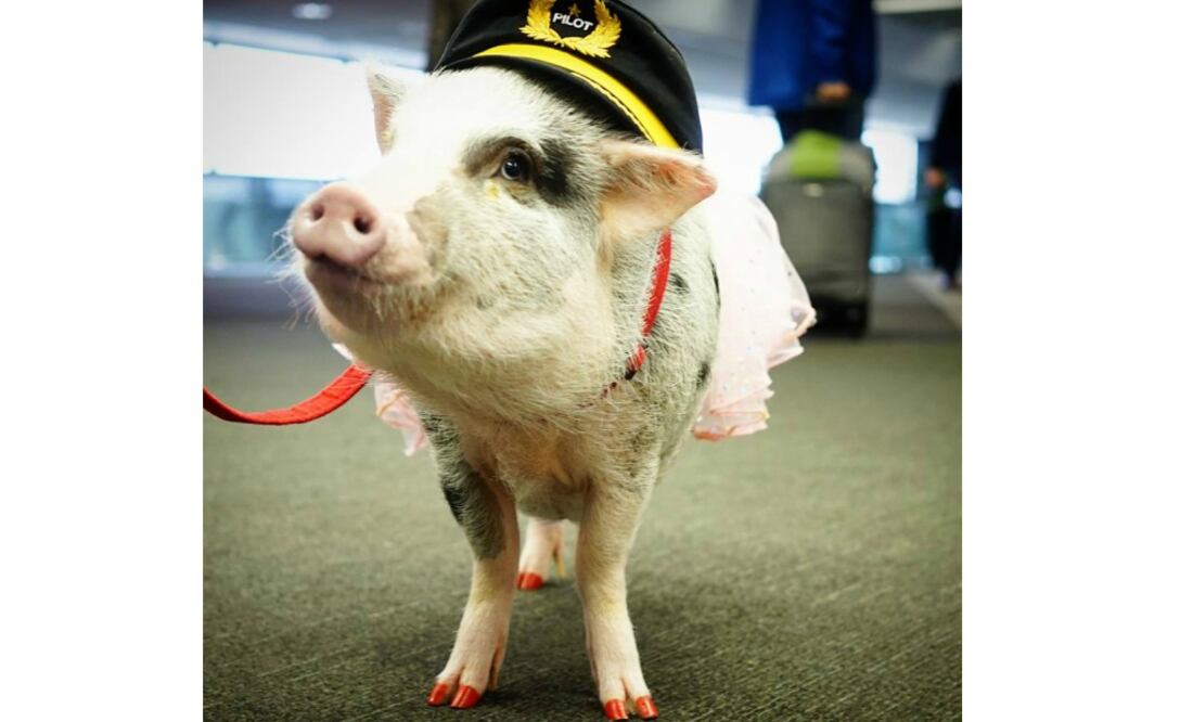 LiLou tamibién visita hospitales. (Foto: Facebook/LiLou)