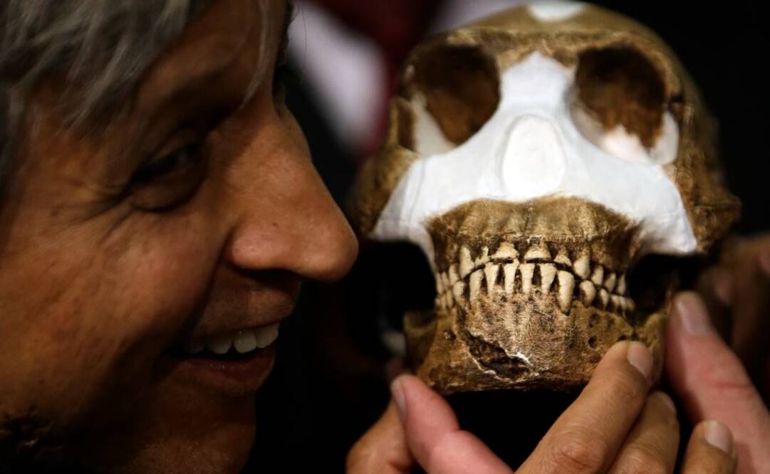Este proceso de selección, además, pudo permitir otras funciones como la mejora del habla y la termorregulación. Foto: Archivo