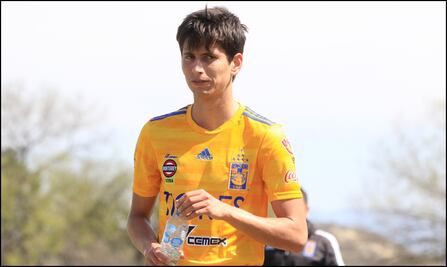 Damm, borrado de los entrenamientos en Tigres 