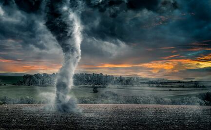 Cuatro nuevos vigilantes para la Tierra