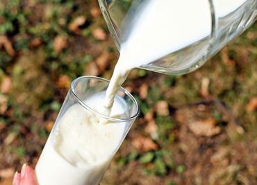 Departamento de Agricultura exigirá que se analice el suministro de leche de EU; buscan detectar el virus de la gripe aviar