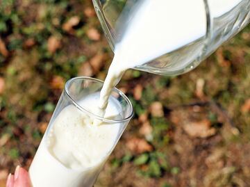 Departamento de Agricultura exigirá que se analice el suministro de leche de EU; buscan detectar el virus de la gripe aviar