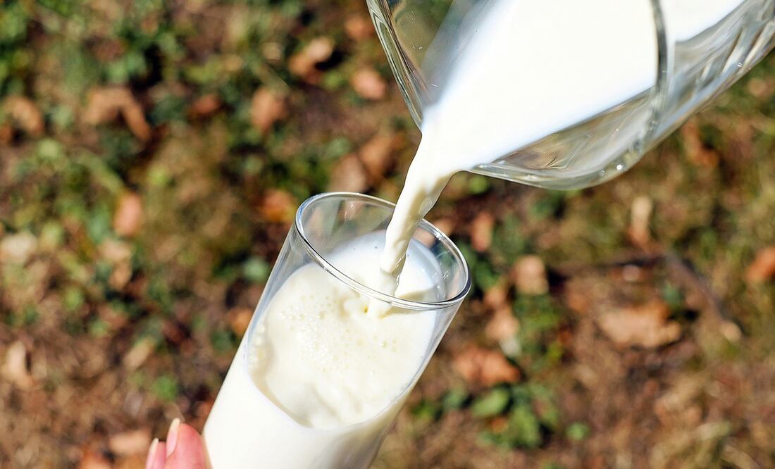 Conoce el tipo de leche que no eleva la glucosa en la sangre. Foto: Pixabay