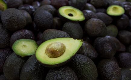 Baja precio del aguacate; en Tijuana se vende hasta en $85