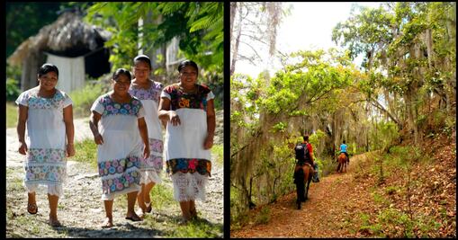 Viaja a zonas rurales y descubre las verdaderas maravillas de México