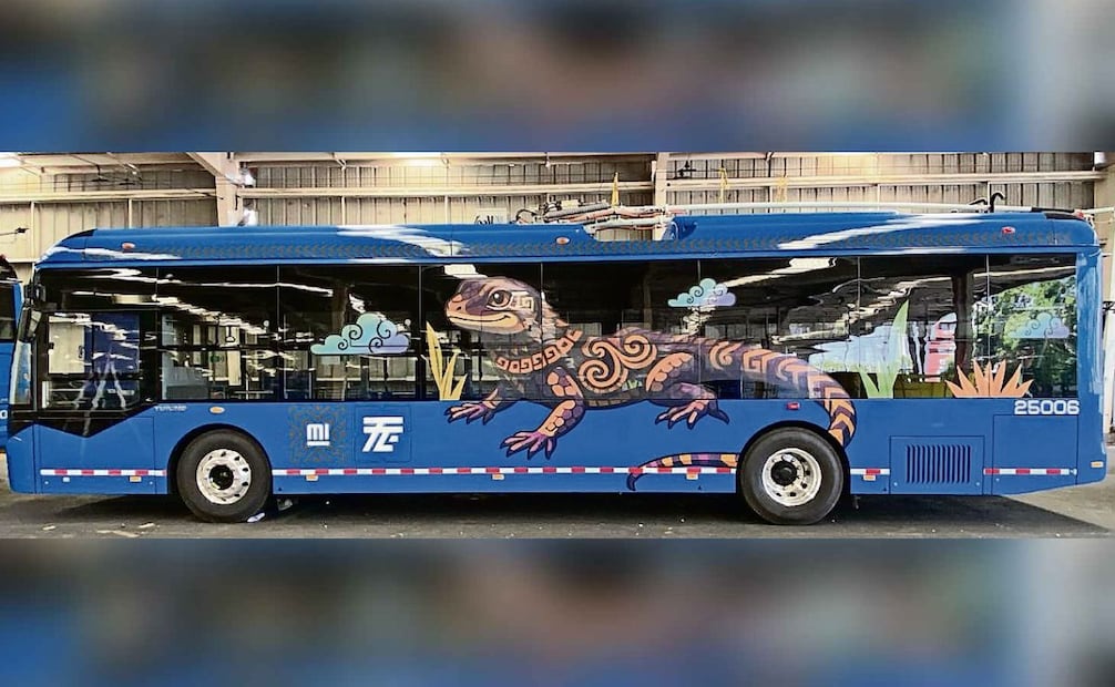 La ruta 14 del trolebús también presenta afectaciones. Especial