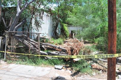 Comen 30 perros cuerpo de su dueña en Sonora